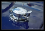 AC Cobra Pilgrim-5